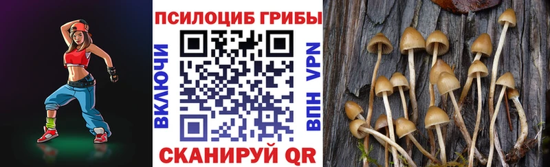 Галлюциногенные грибы GOLDEN TEACHER  маркетплейс телеграм  Луза  наркота 